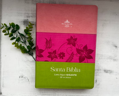 Biblia RV60 Letra Super Gigante (Rosa/Verde)