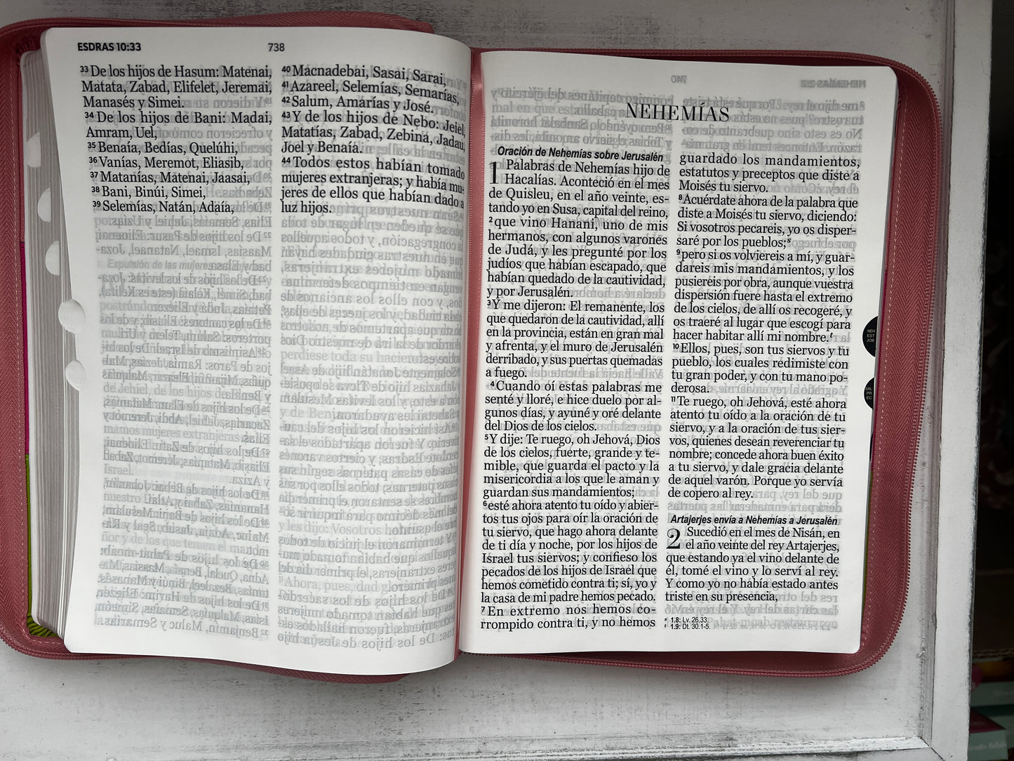 Biblia RV60 Letra Super Gigante (Rosa/Verde)